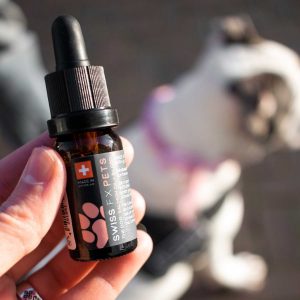 CBD Öl für Hunde Anwendung