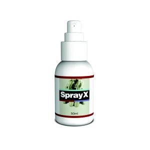 Inhaltsstoffe in Spray X
