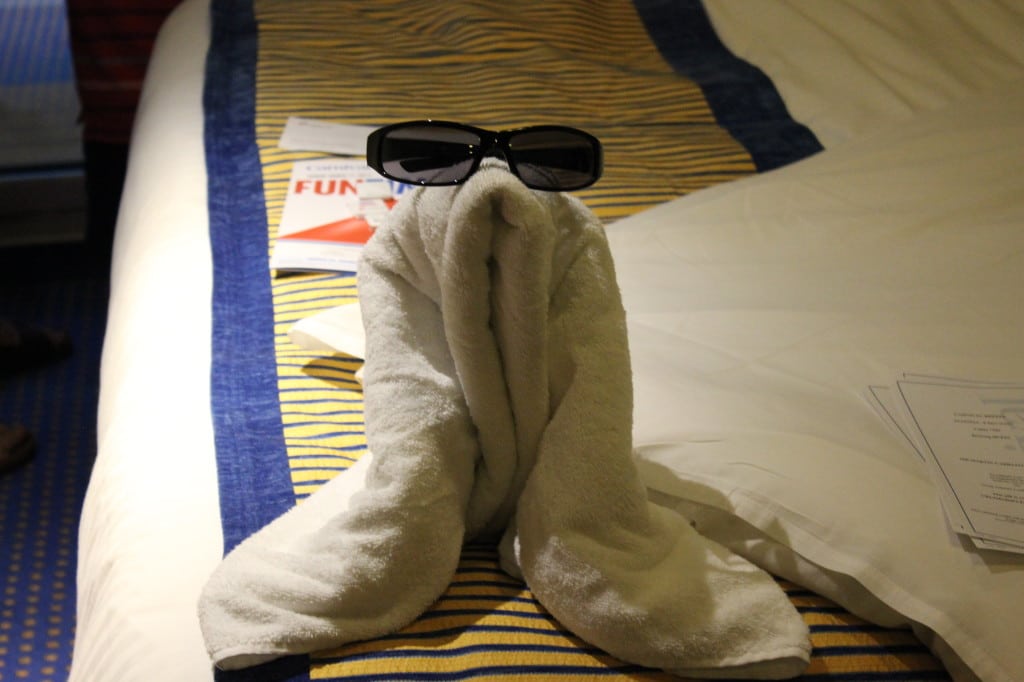 cruise ship towel animals