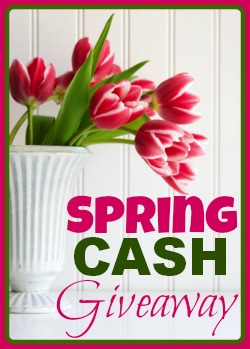 Cash Giveaway – win $115 USD #cashgiveaway