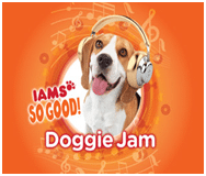 #IamsSOGOOD! Doggie Jam Giveaway and Video