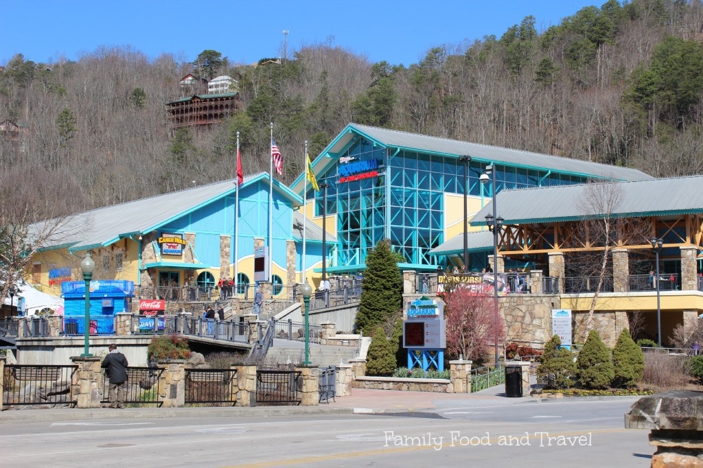 ripley's aquarium gatlinburg tennessee