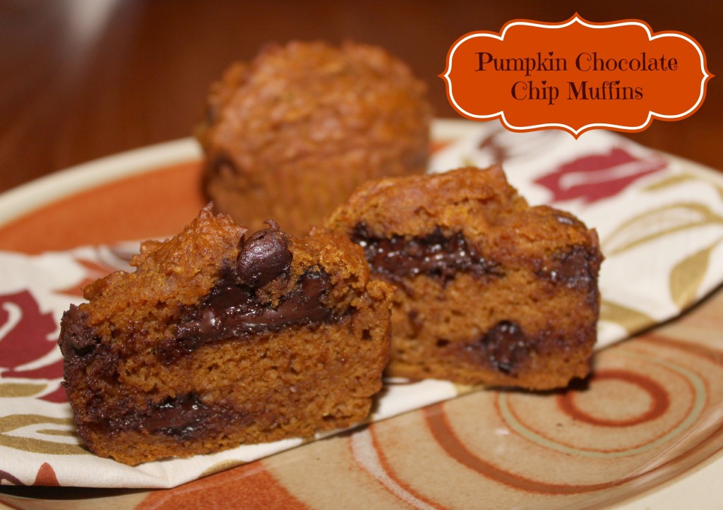 pumpkin chocolate chip muffins