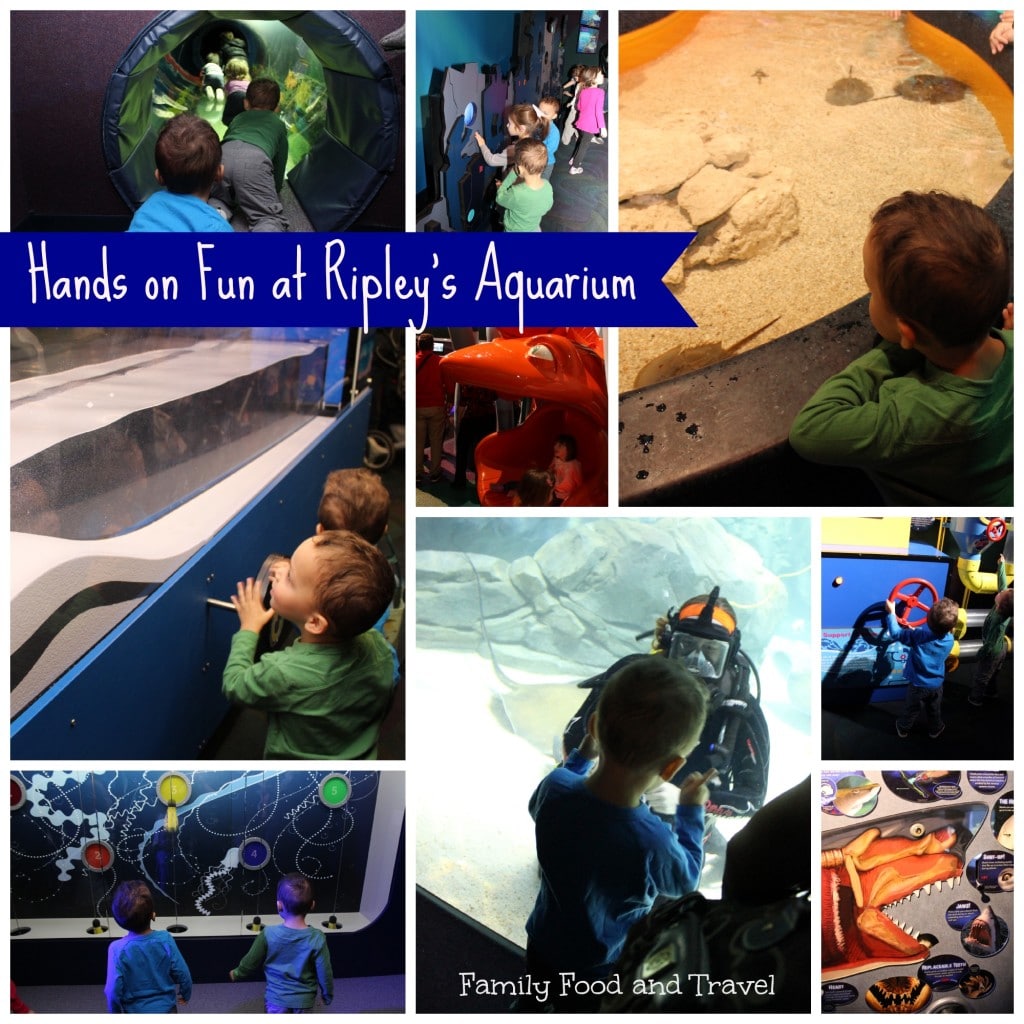 Ripley's Aquarium of Canada Toronto
