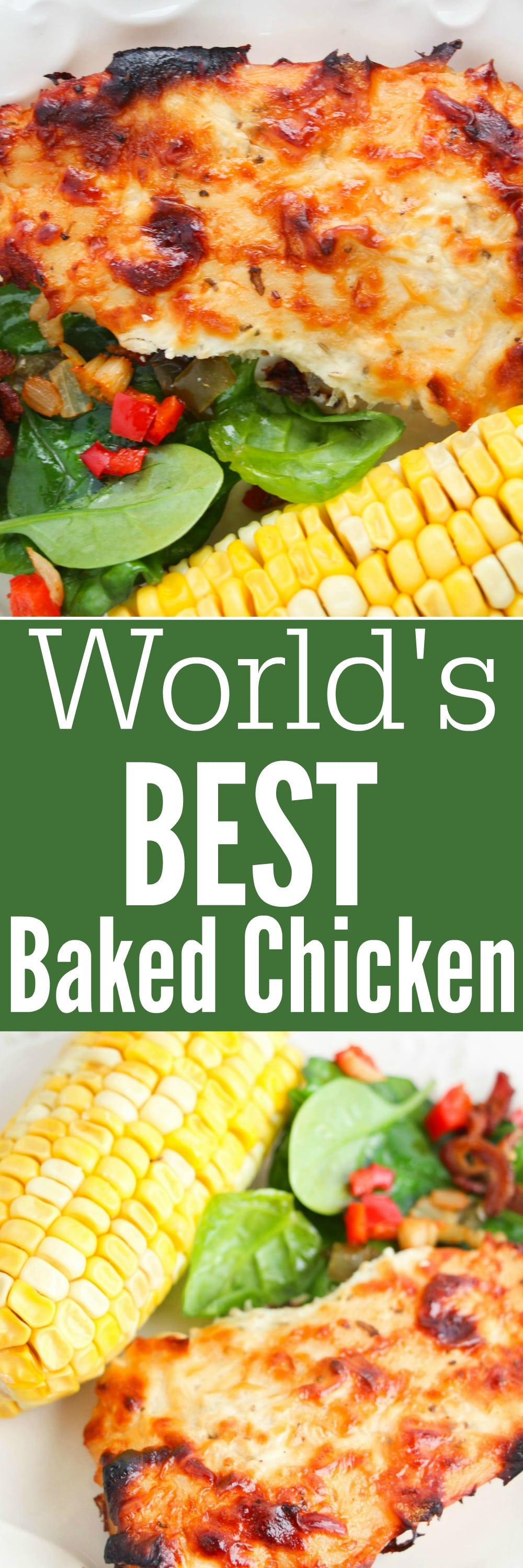 The Worlds Best Baked Chicken