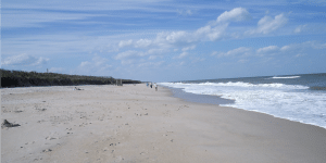 Florida-Beach--1024x515