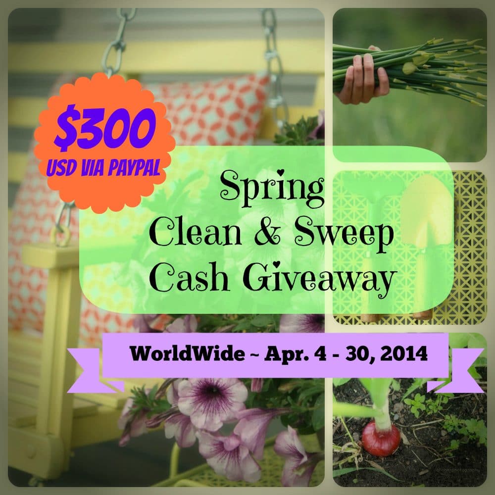 $300 Cash Giveaway #CleanSweepCash