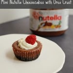 mini nutella cheesecakes with oreo crust