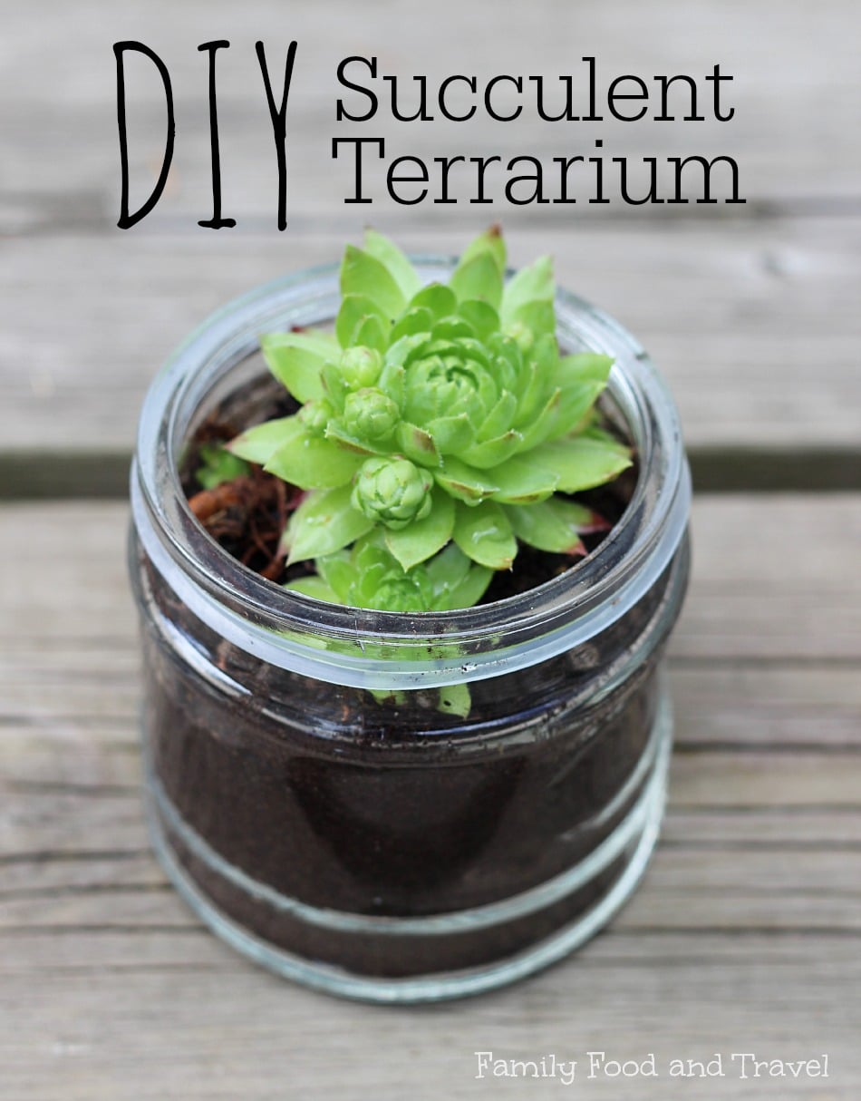 DIY Succulent Terrarium