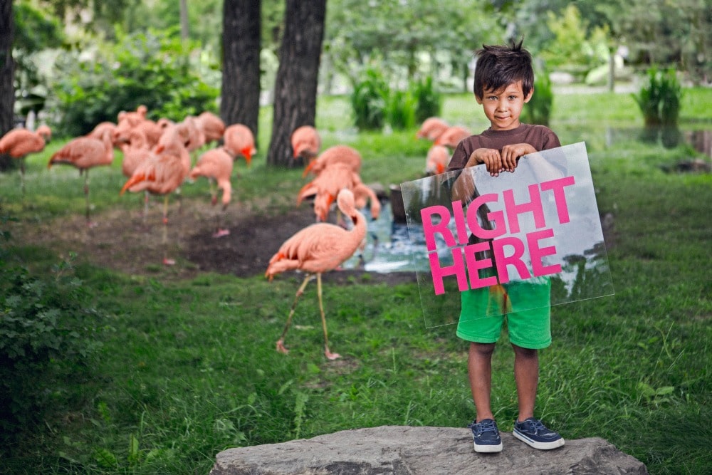 calgary zoo