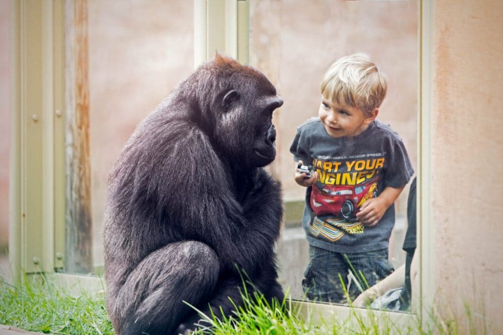 CalgaryZoo2-1024x682