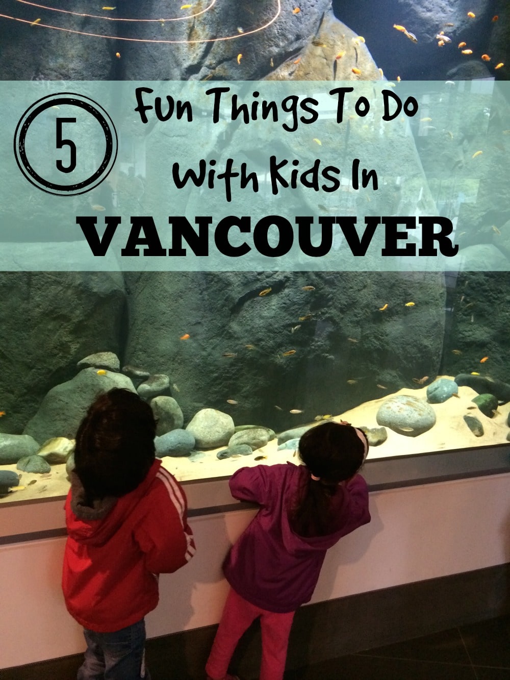 5 Fun Things To Do With Kids in Vancouver
