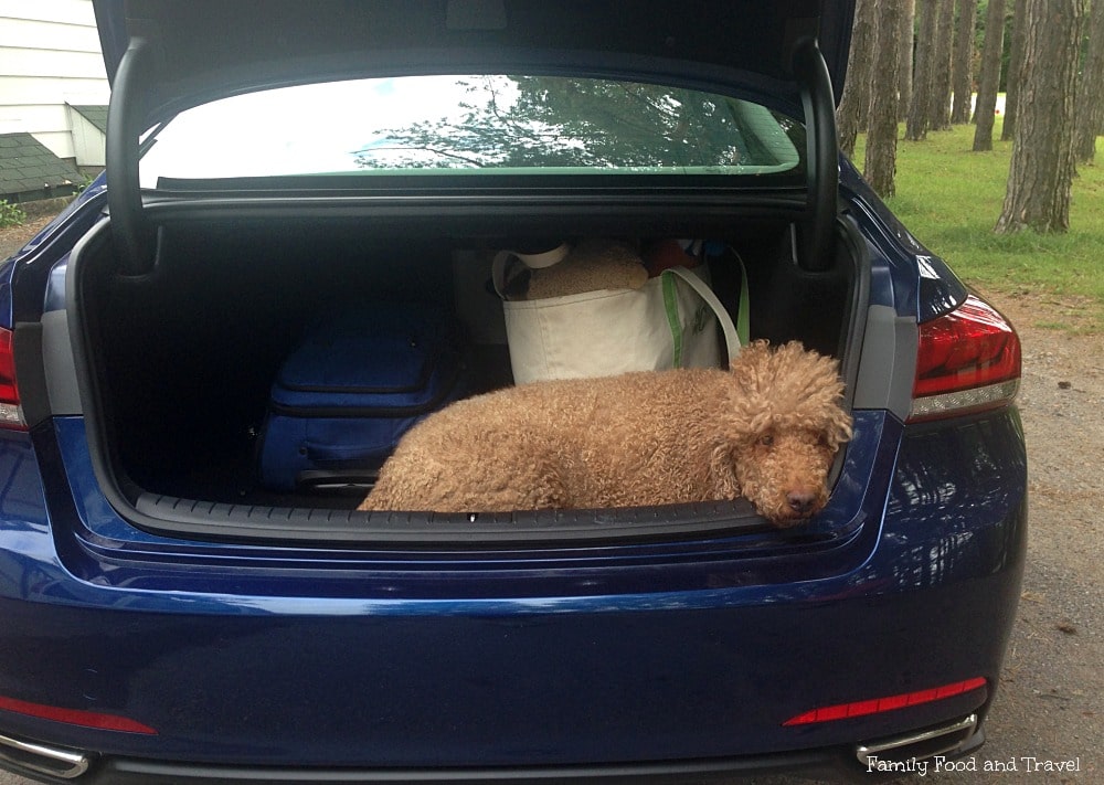 Hyundai Genesis Trunk Space