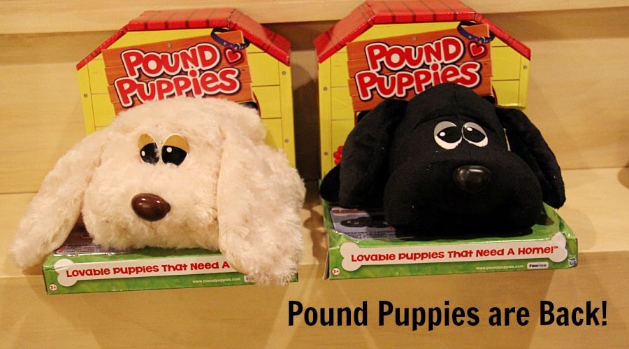 Pound Puppies are Back!