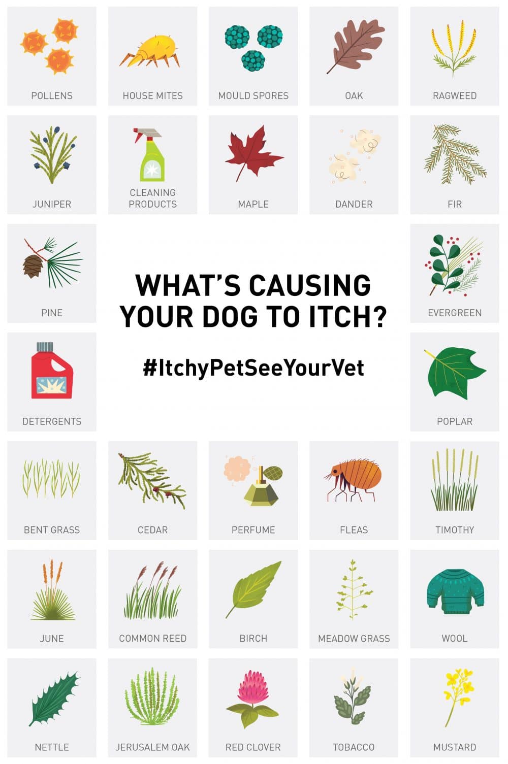 Seasonal Allergies Dogs Are Affected Too #ItchyPetSeeYourVet