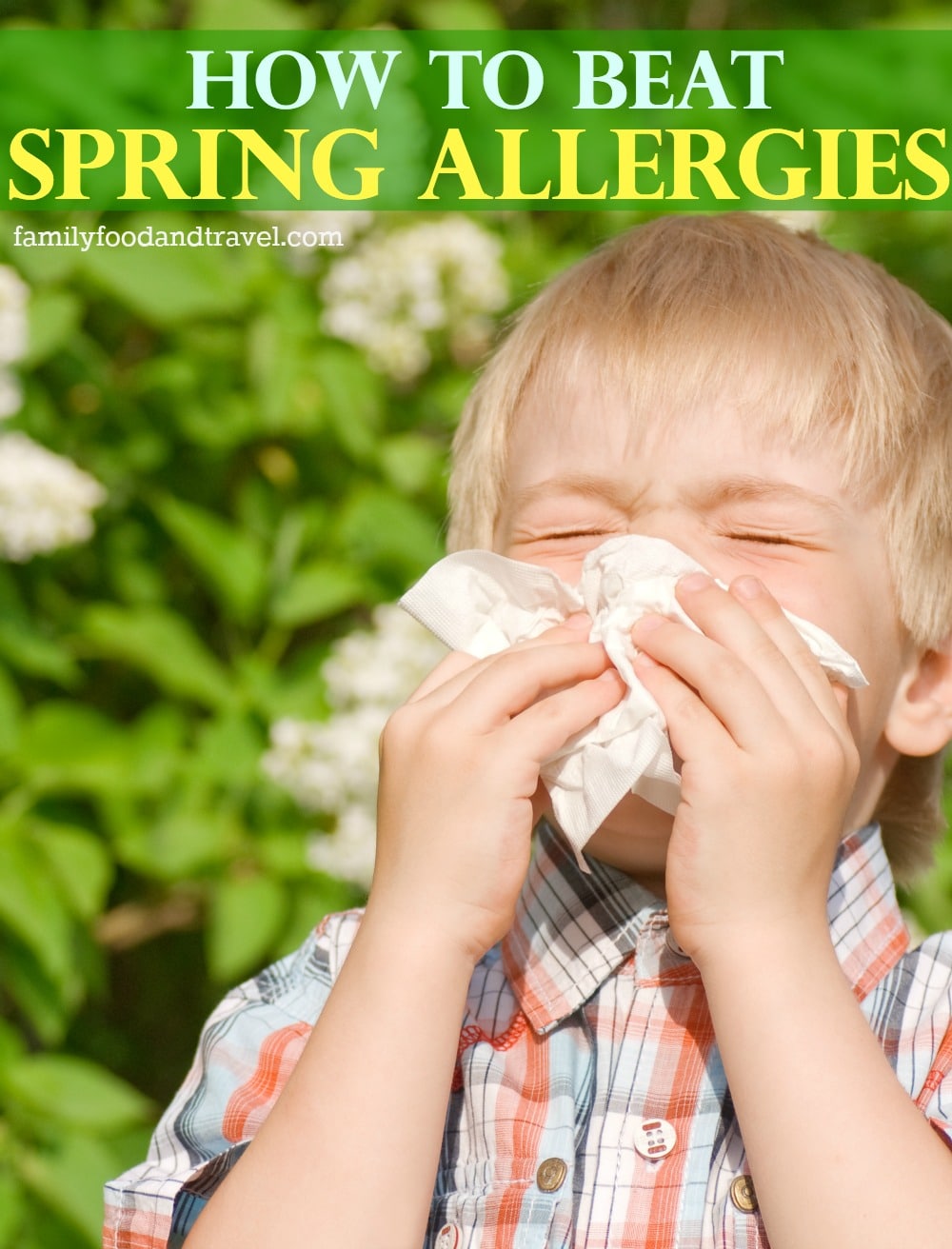 How to Beat Spring Allergies