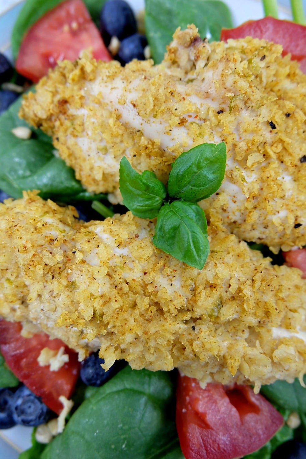 Lime Tortilla Crusted Baked Chicken