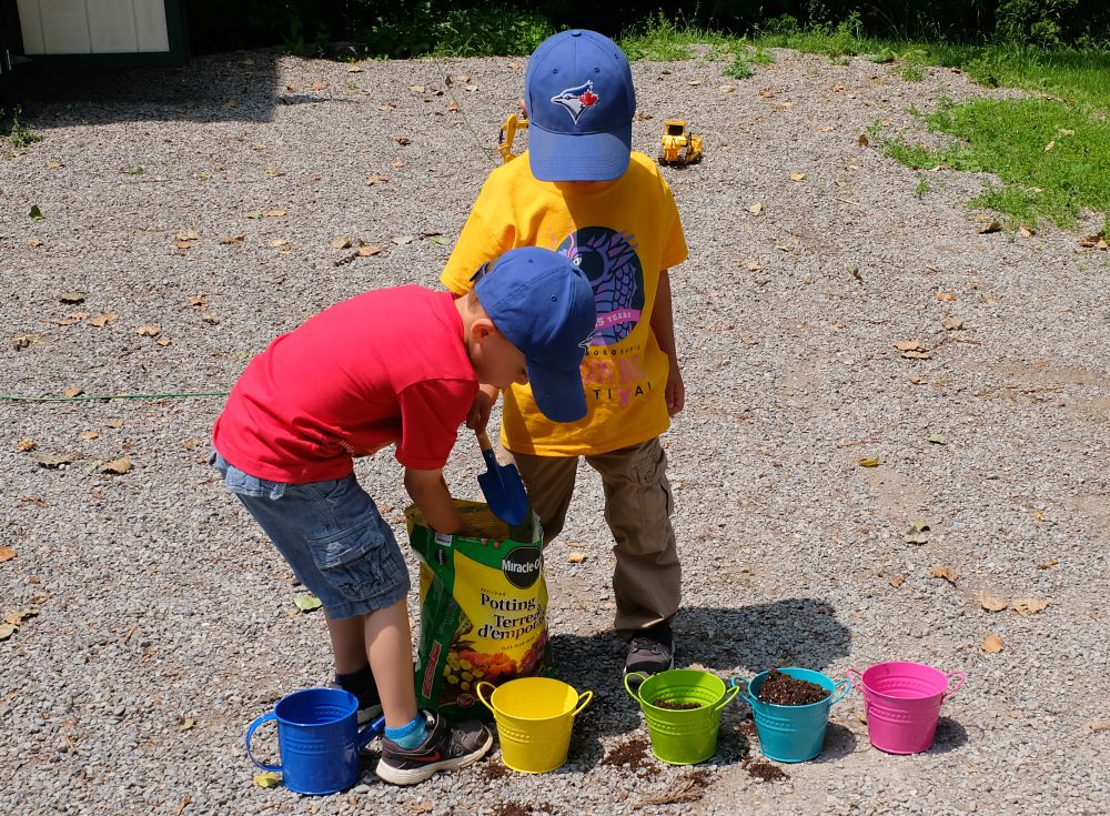 planting kale