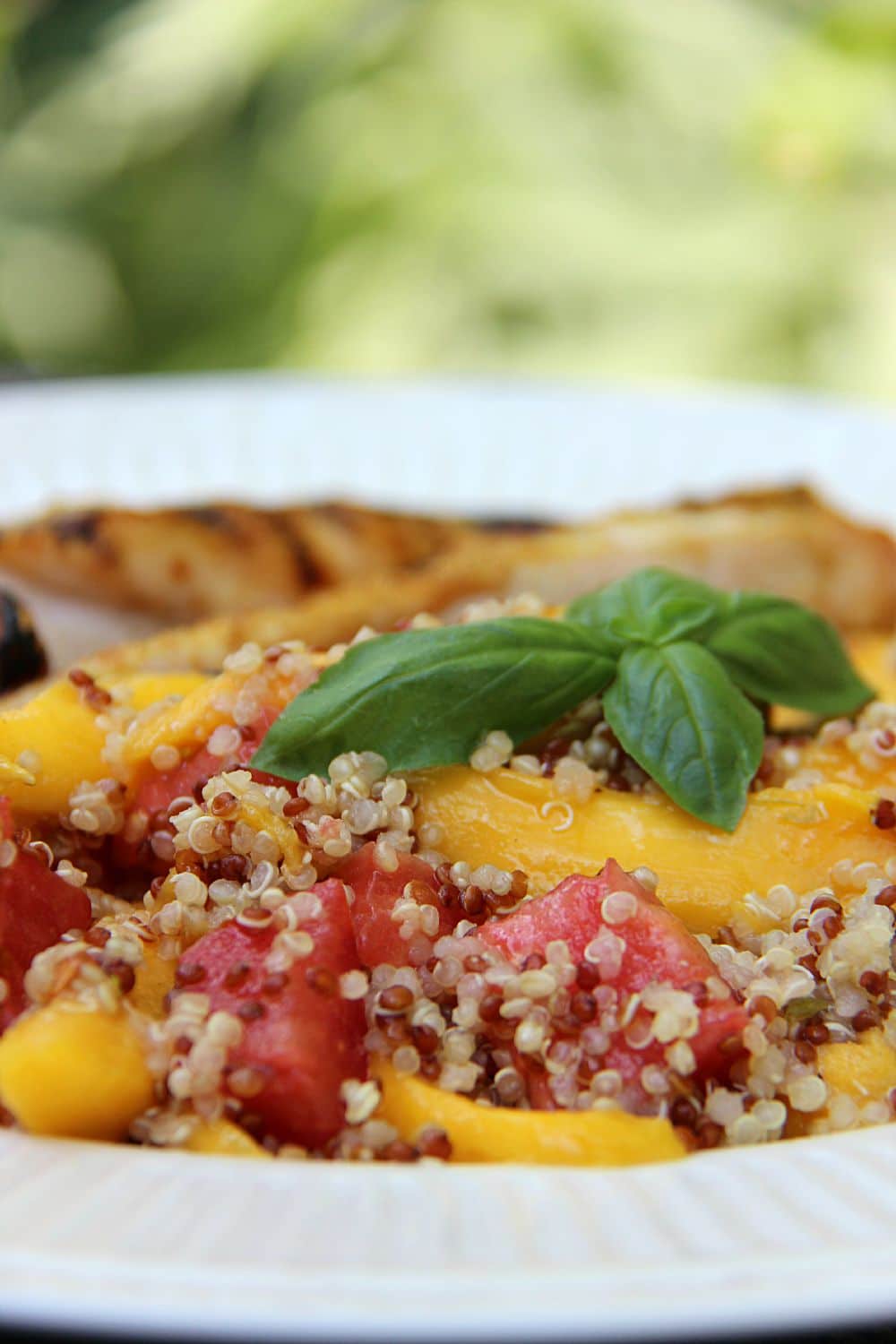 Grilled Chicken with Mango Tomato Quinoa Salad 1