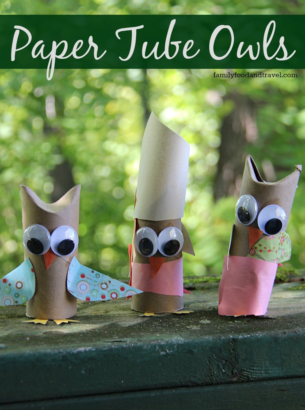 Paper Tube Owls Craft
