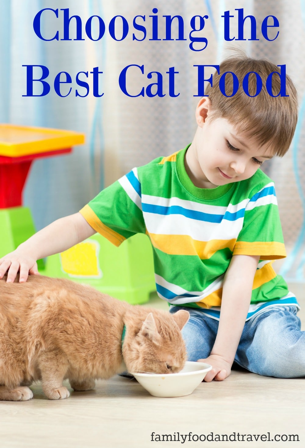 Choosing the Best Cat Food 