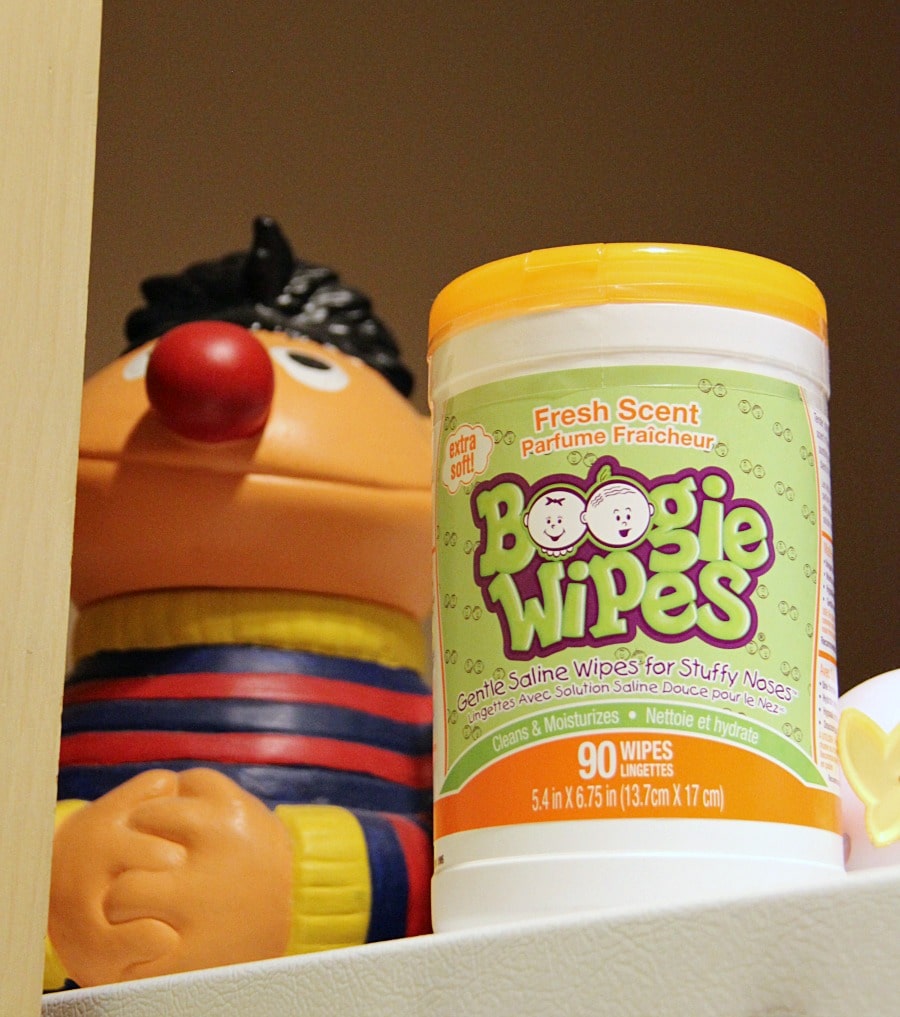 Boogie Wipes