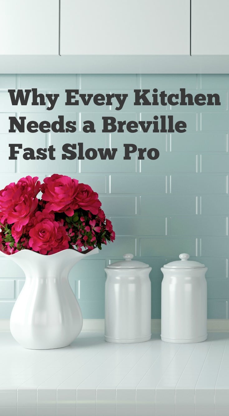 Why Every Kitchen Needs s Breville Fast Slow Pro 