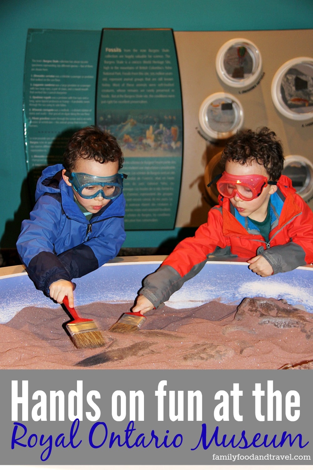 Hands on fun at the Royal Ontario Museum