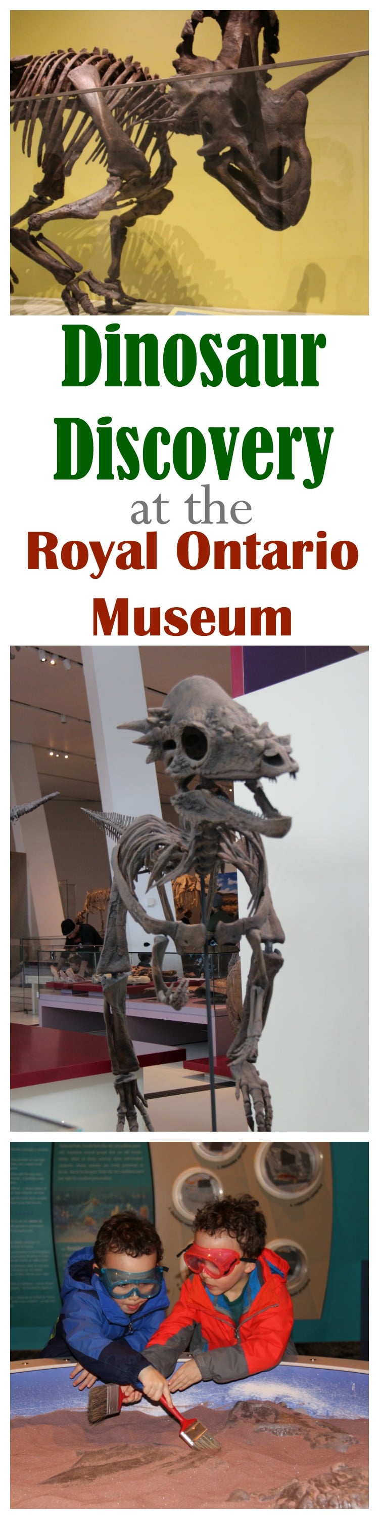 Royal Ontario Museum