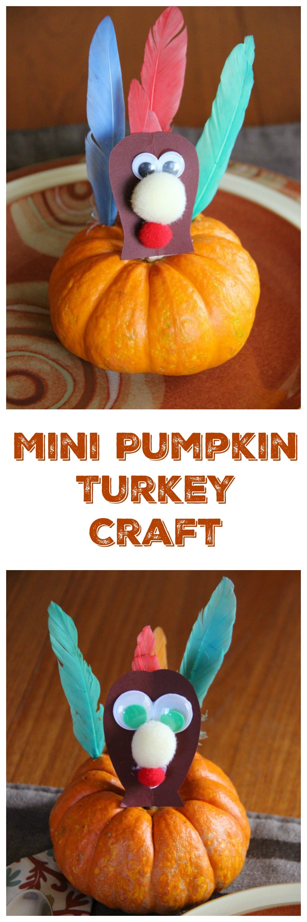 Mini Pumpkin Turkey Craft