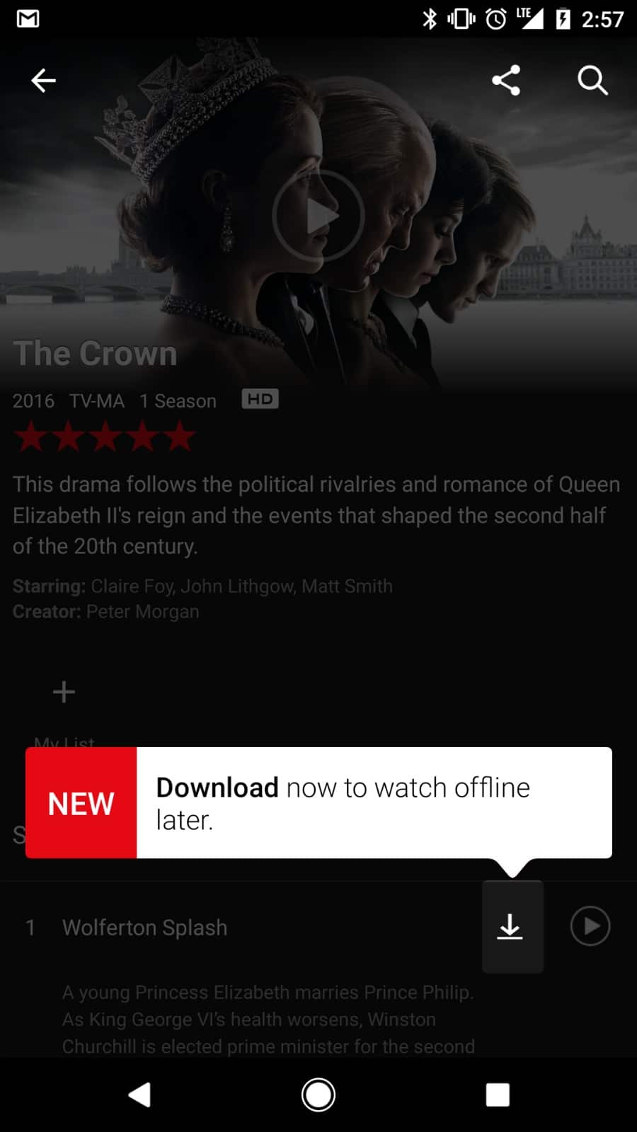 Downloading Netflix