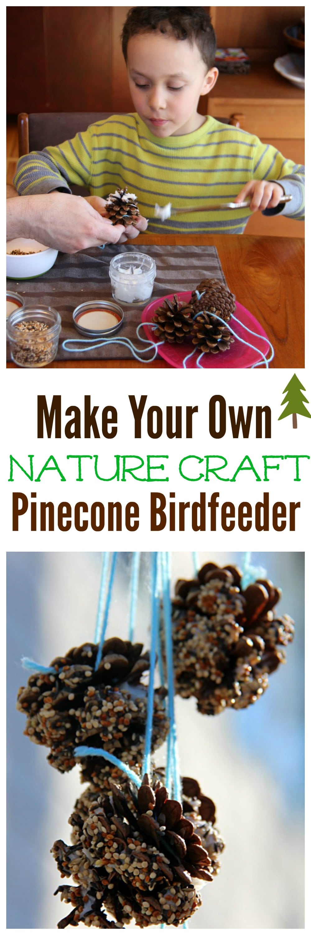DIY Pinecone Birdfeeder