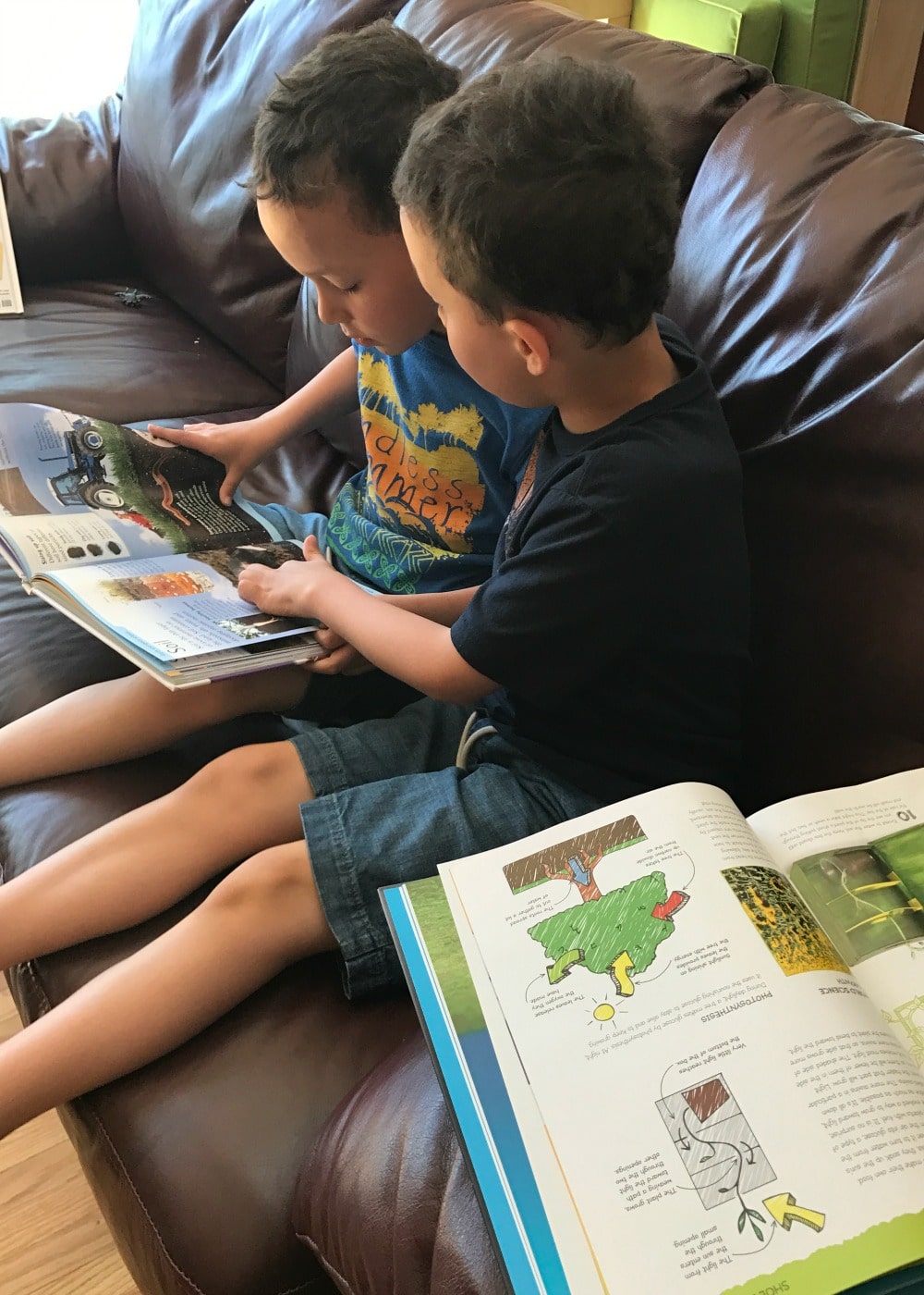 Encouraging My Boys to Read with the TD Summer Reading Club