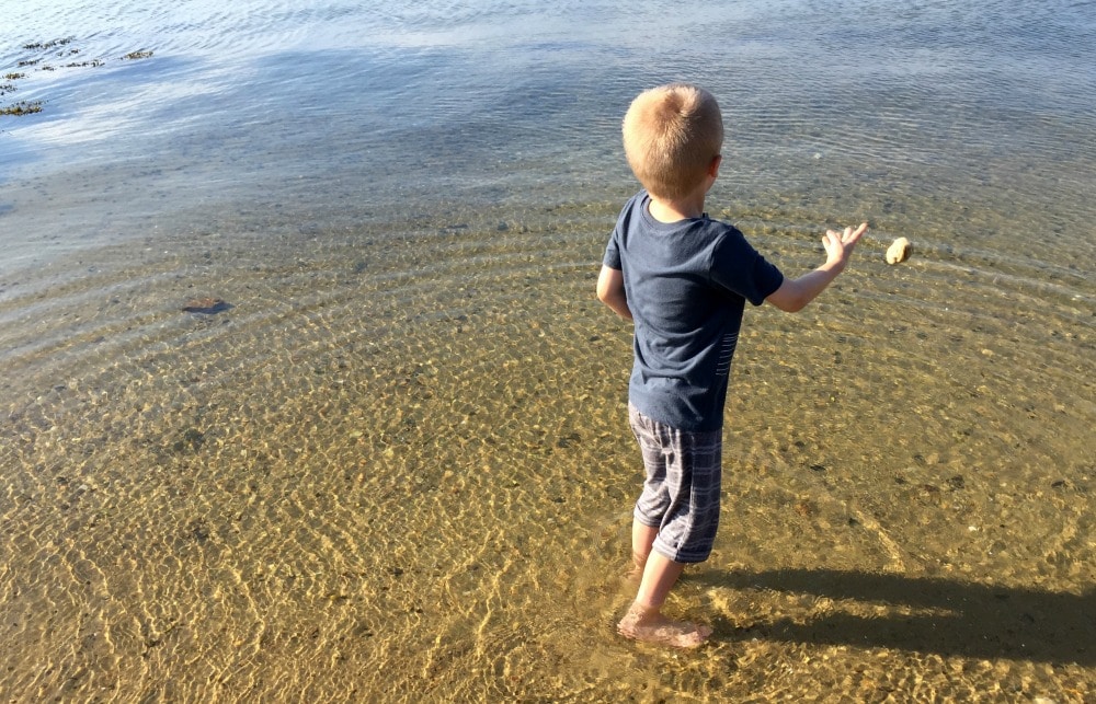 Field Trip to the Beach