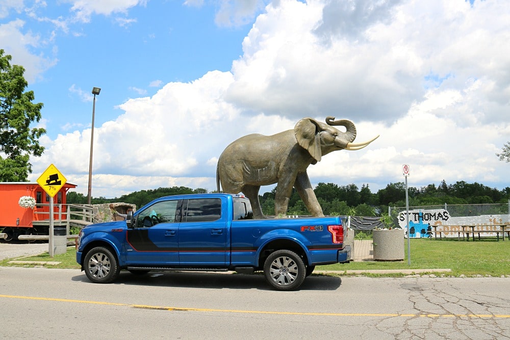 Jumbo the Elephant and Ford F150