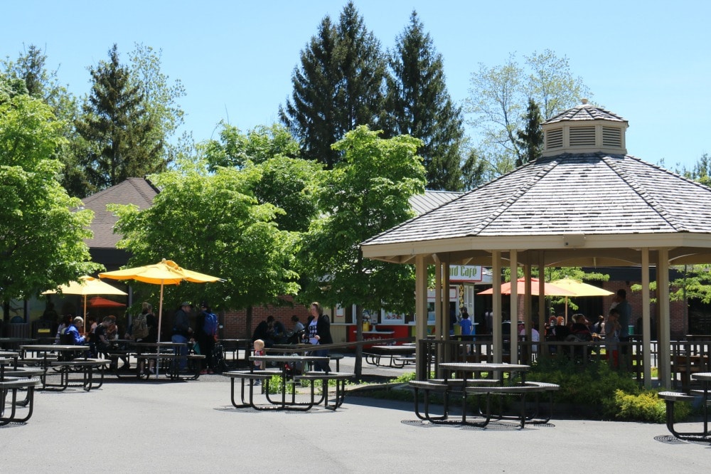 Syracuse Zoo - Eating Area