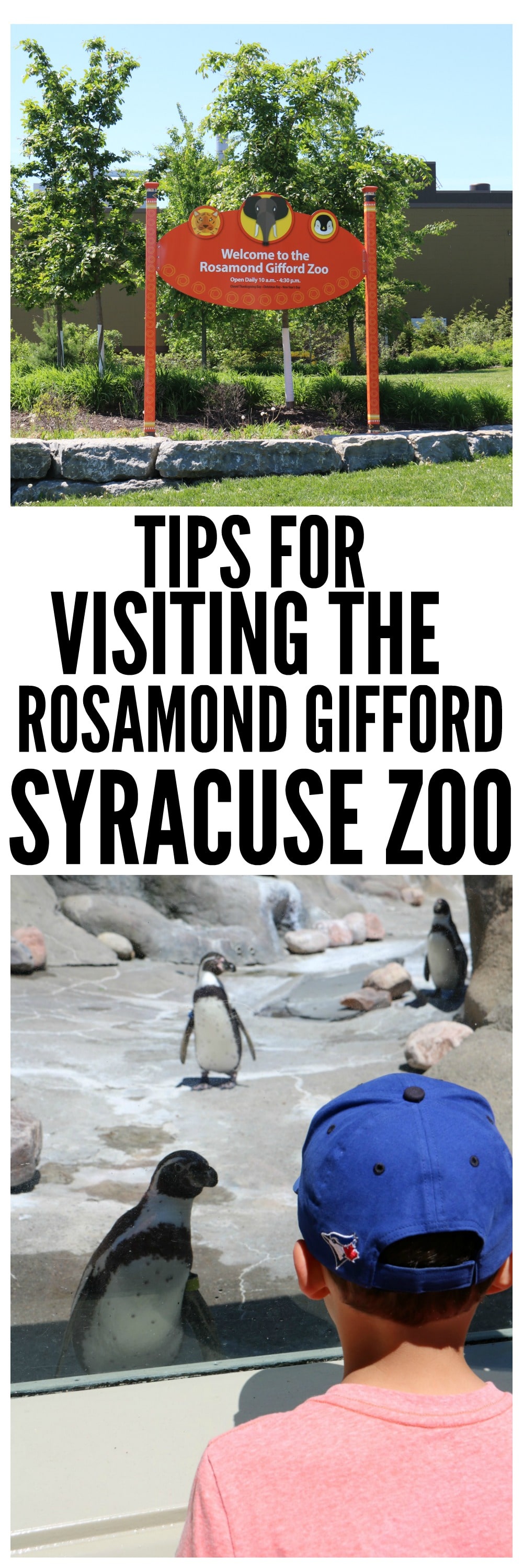 Visiting the Syracuse Zoo