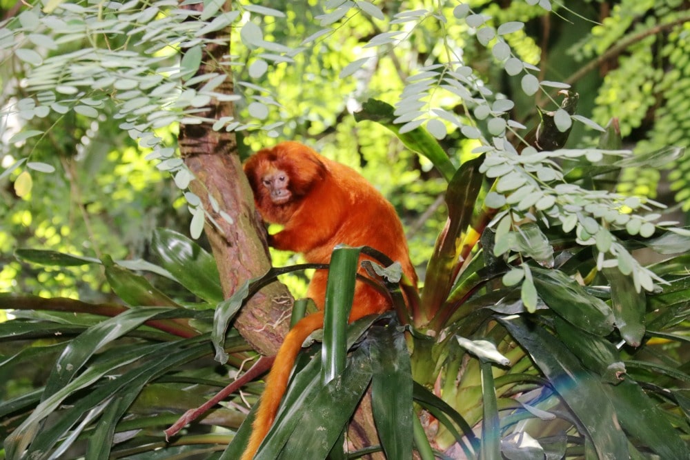 Montreal With Kids - Biodome