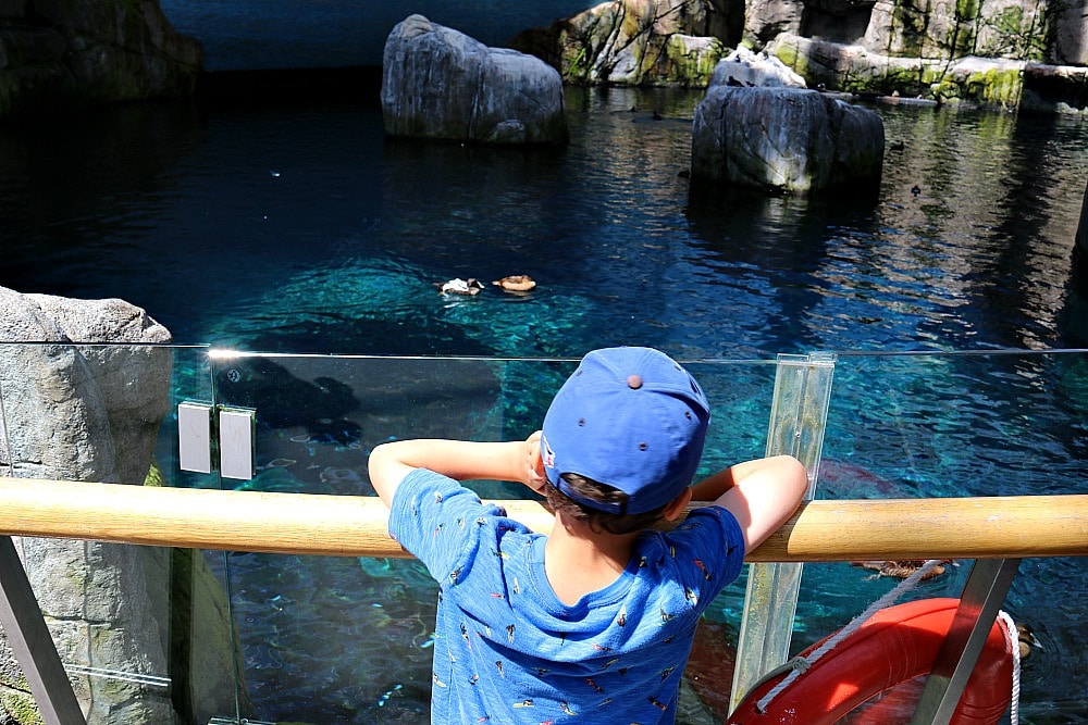 Montreal With Kids - Biodome