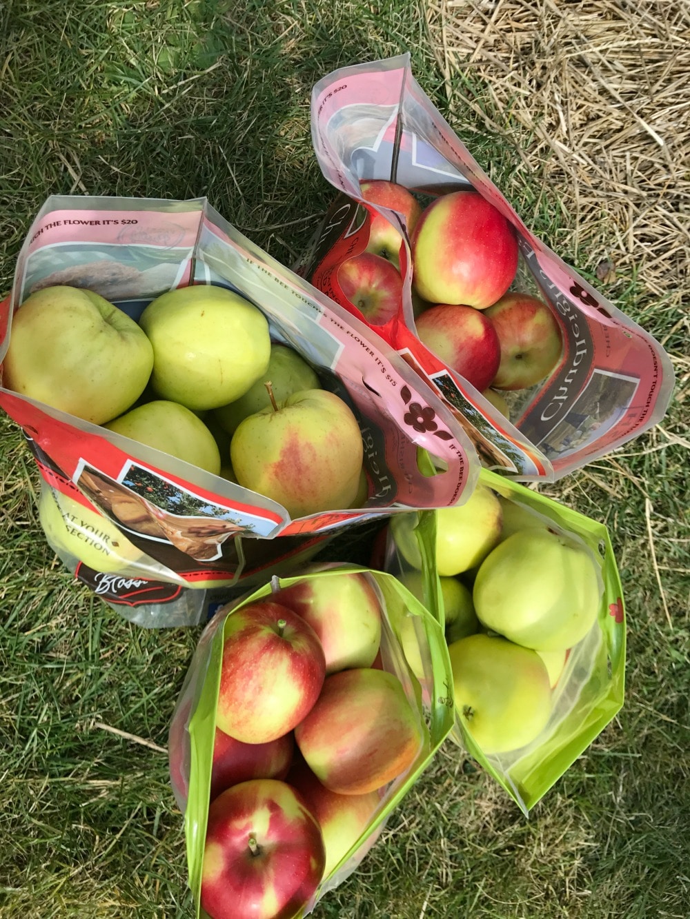 Chudleigh's Apple Farm