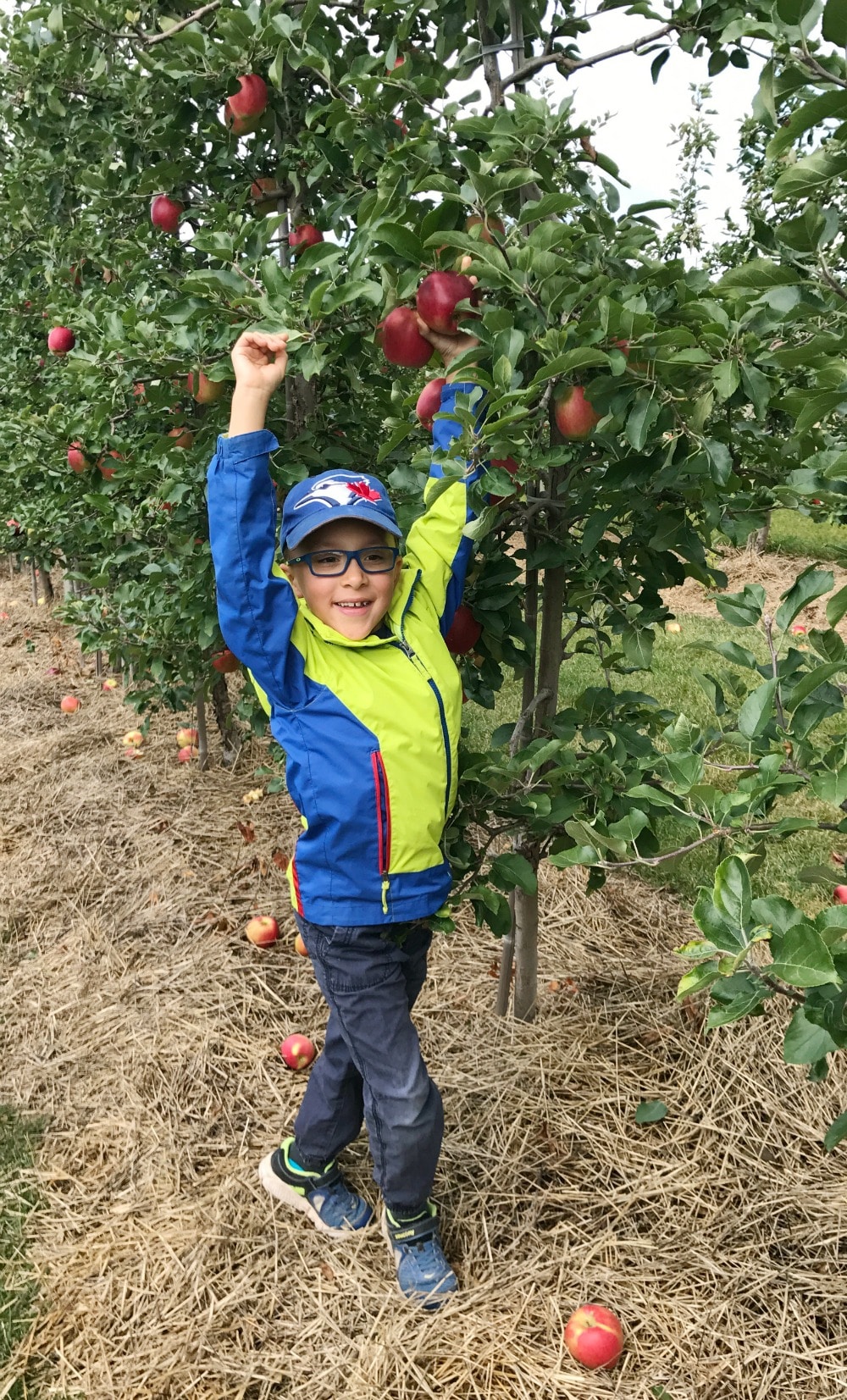 Chudleigh's Best Family Apple Farm 
