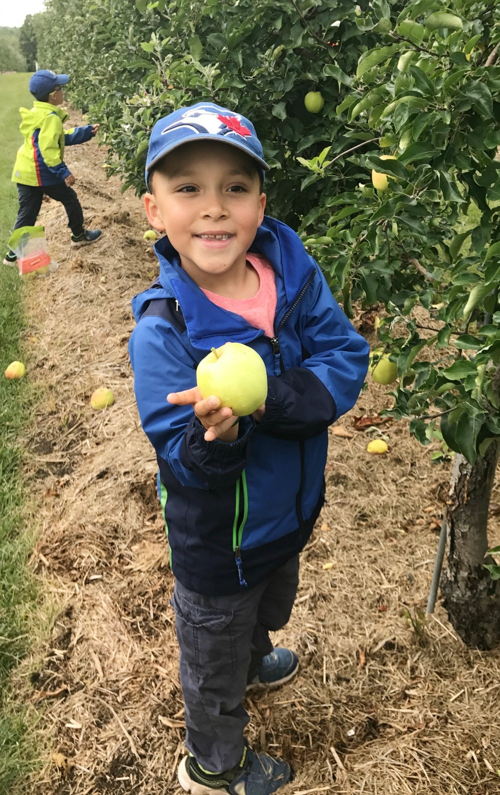 Chudleigh's Best Family Apple Farm