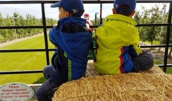 Chudleighs: The Best Family Friendly Apple Farm in Ontario