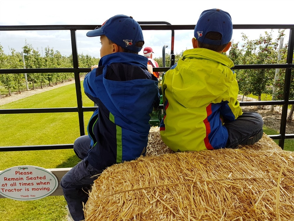 Chudleigh's Best Family Apple Farm 