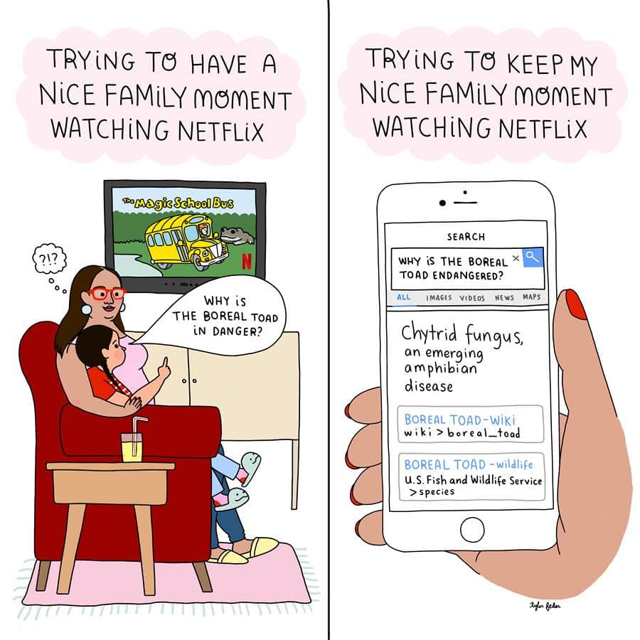 learn from netflix