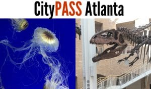 Top Reasons to Use Atlanta CityPASS for Savings