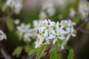 Living with Allergies in the Country #AllergyFeels