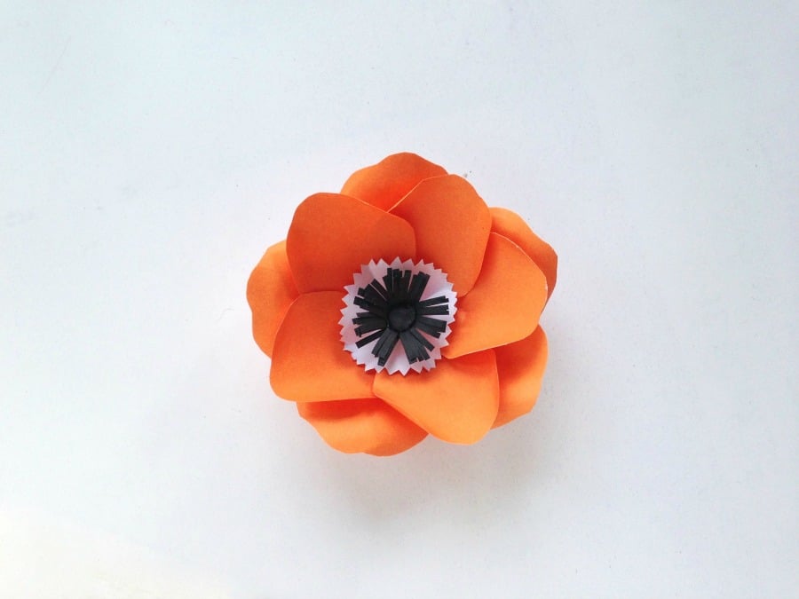 DIY Paper Flowers Anemone