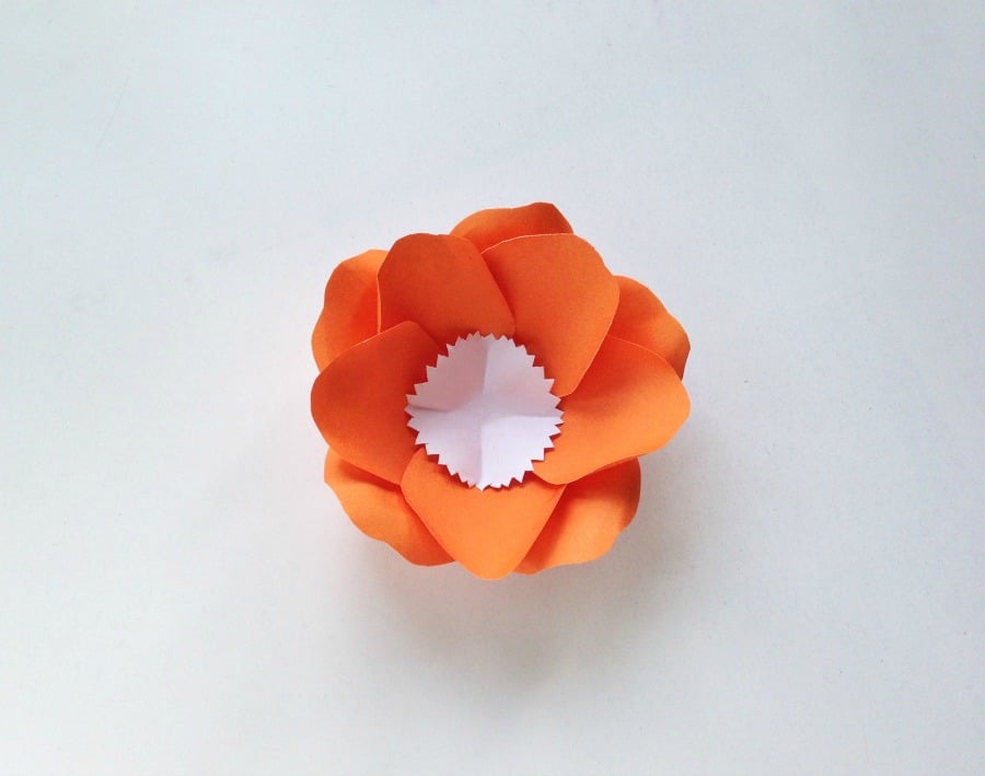 DIY Paper Flowers Anemone