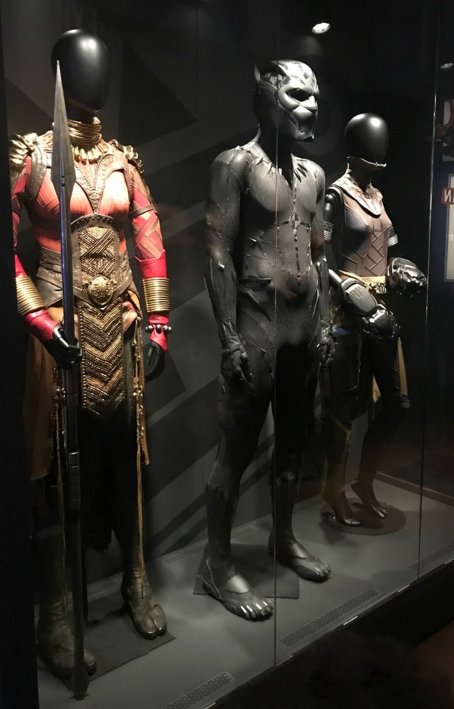 Marvel Universe Movie Costumes Black Panther